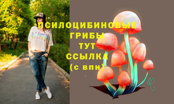 альфа пвп Дмитровск