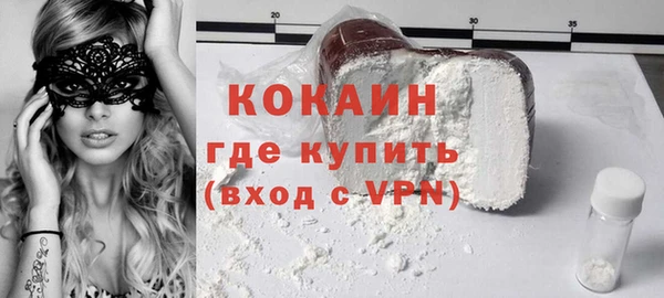 прущие грибы Инта